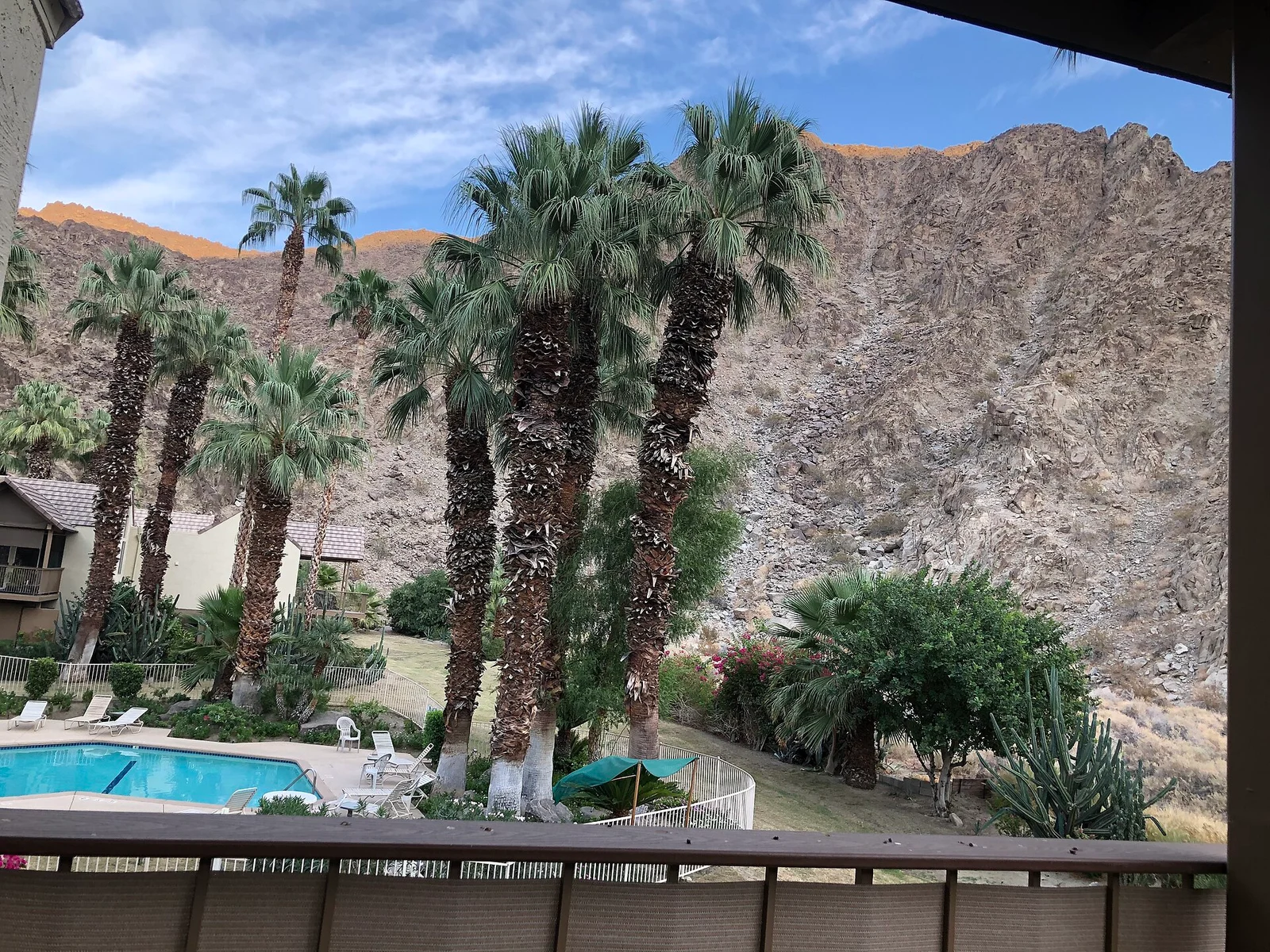 Palms and mountains in Indian Wells