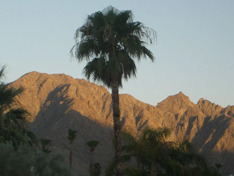 Mountains and palms in La Quinta at dusk